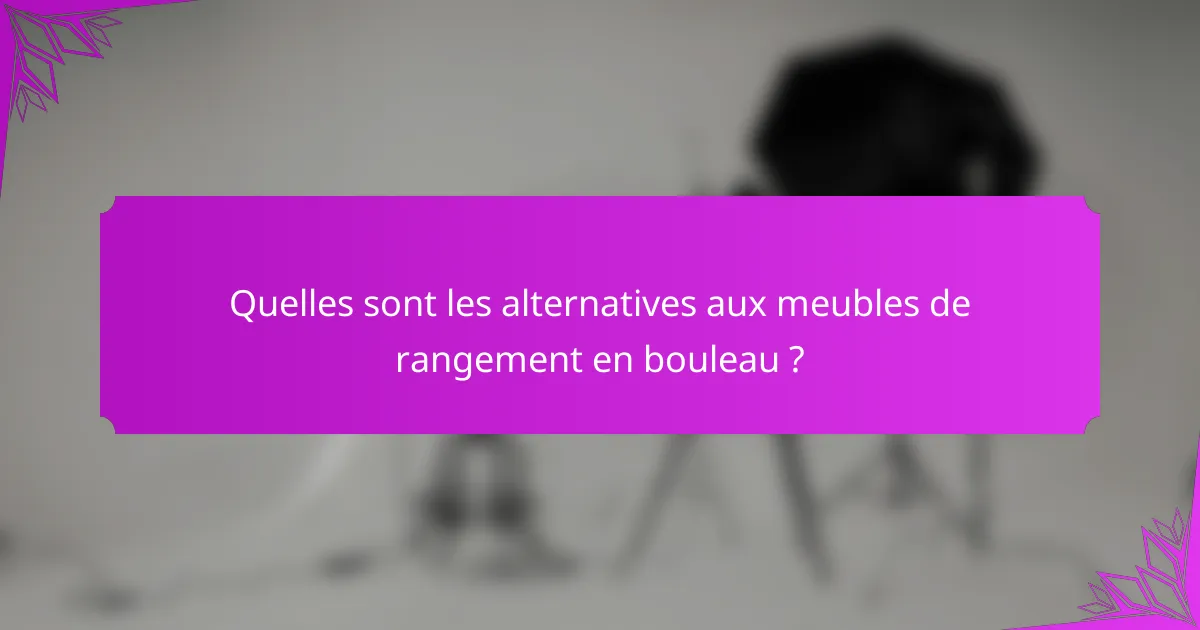 Quelles sont les alternatives aux meubles de rangement en bouleau ?